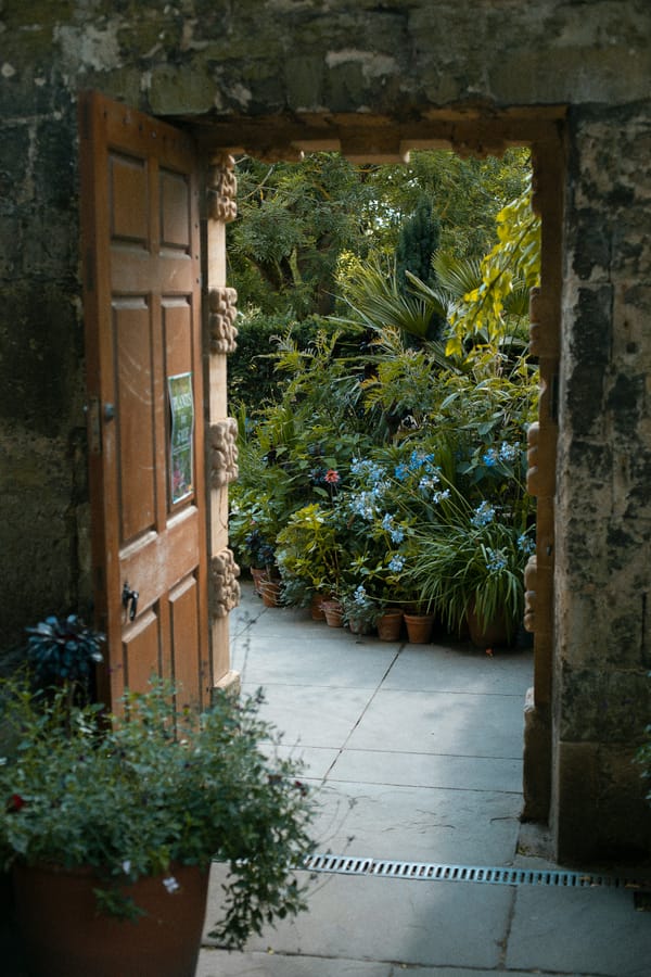 The Secret Garden Waiting at the Halfway Mark